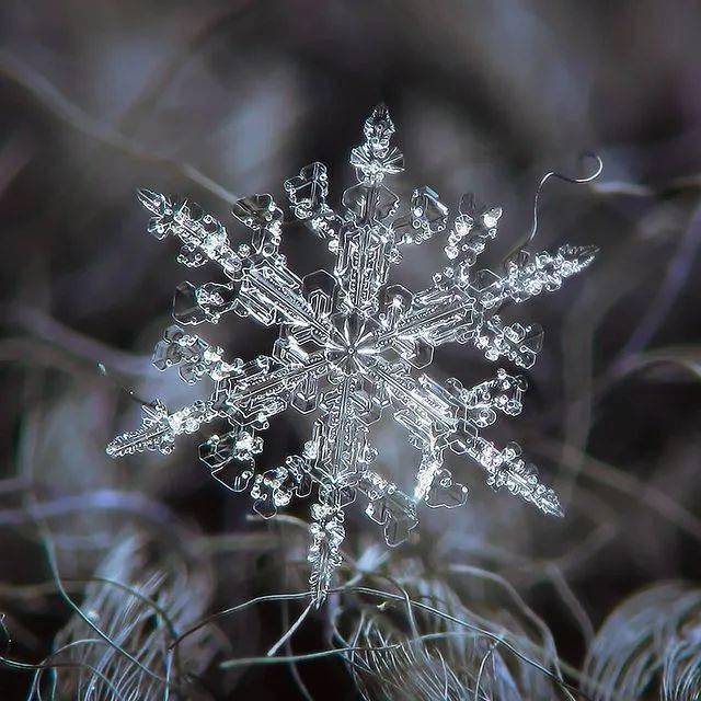 但他却对厚厚的堆雪毫无兴趣那种电视上专业摄影师拍的雪花大图,是小