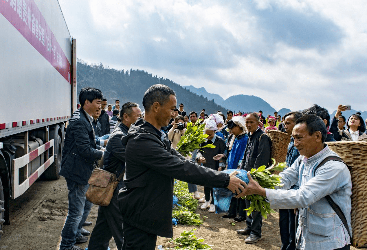 2018年4月,浙江省安吉县溪龙乡黄杜村提出捐赠1500万株茶苗帮助贫困