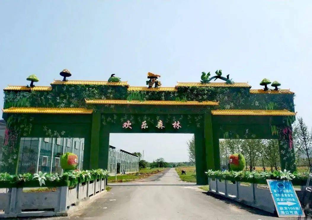 在希望的田野上系列报道七十四4000亩的森林氧吧一一龙泉山欢乐森林