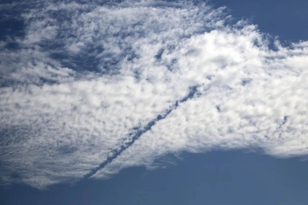 幡状云飞扬的水母抬头看到一群水母在飘?