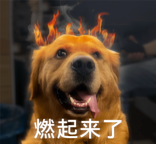 脸书换Logo了，大家最关心的居然它是长得像微信视频号。