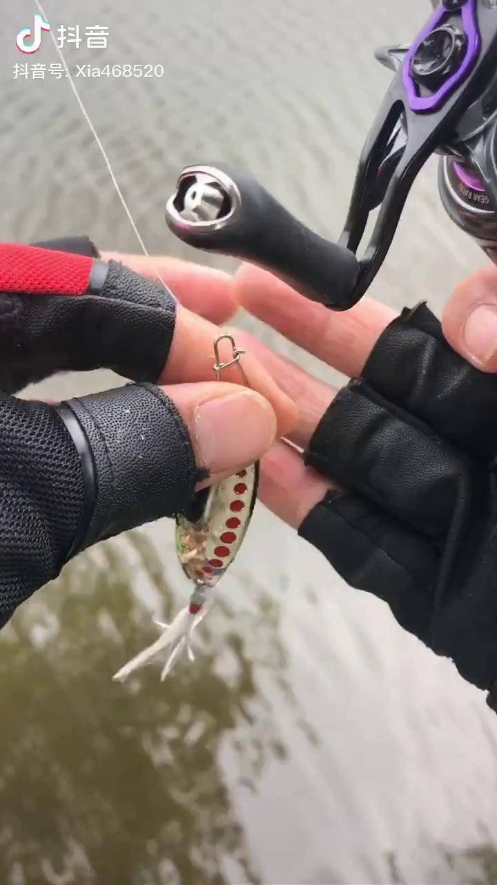 路亚淡水白鲳路亚 钓鱼