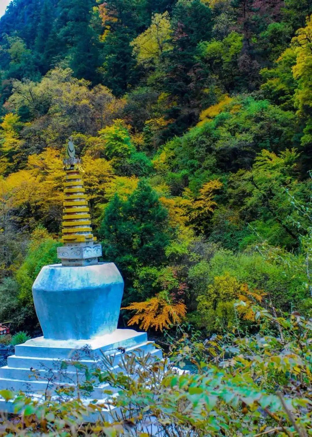 四川米亚罗,中国最大红叶观赏地!_川西