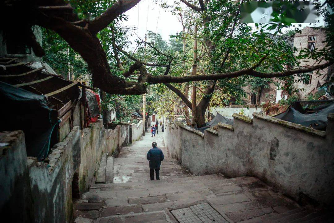 「山城巷」里复古的小卖部,街角巷子里飘出盖碗茶的清香.