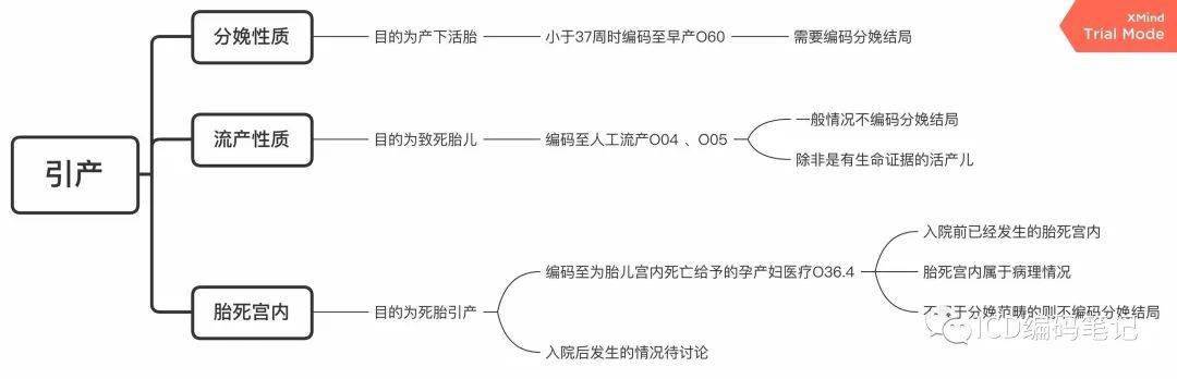 编码讲堂 一文分析引产编码要点 胎儿