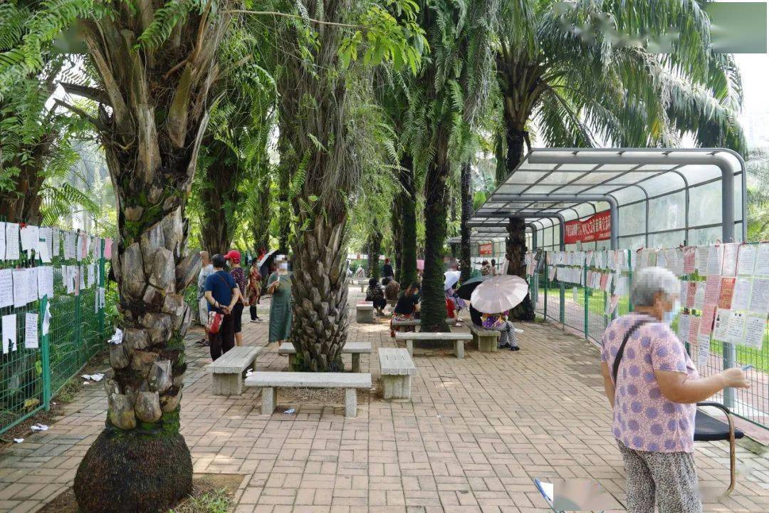 暗访莲花山相亲角,年薪30万只能算起步?_深圳