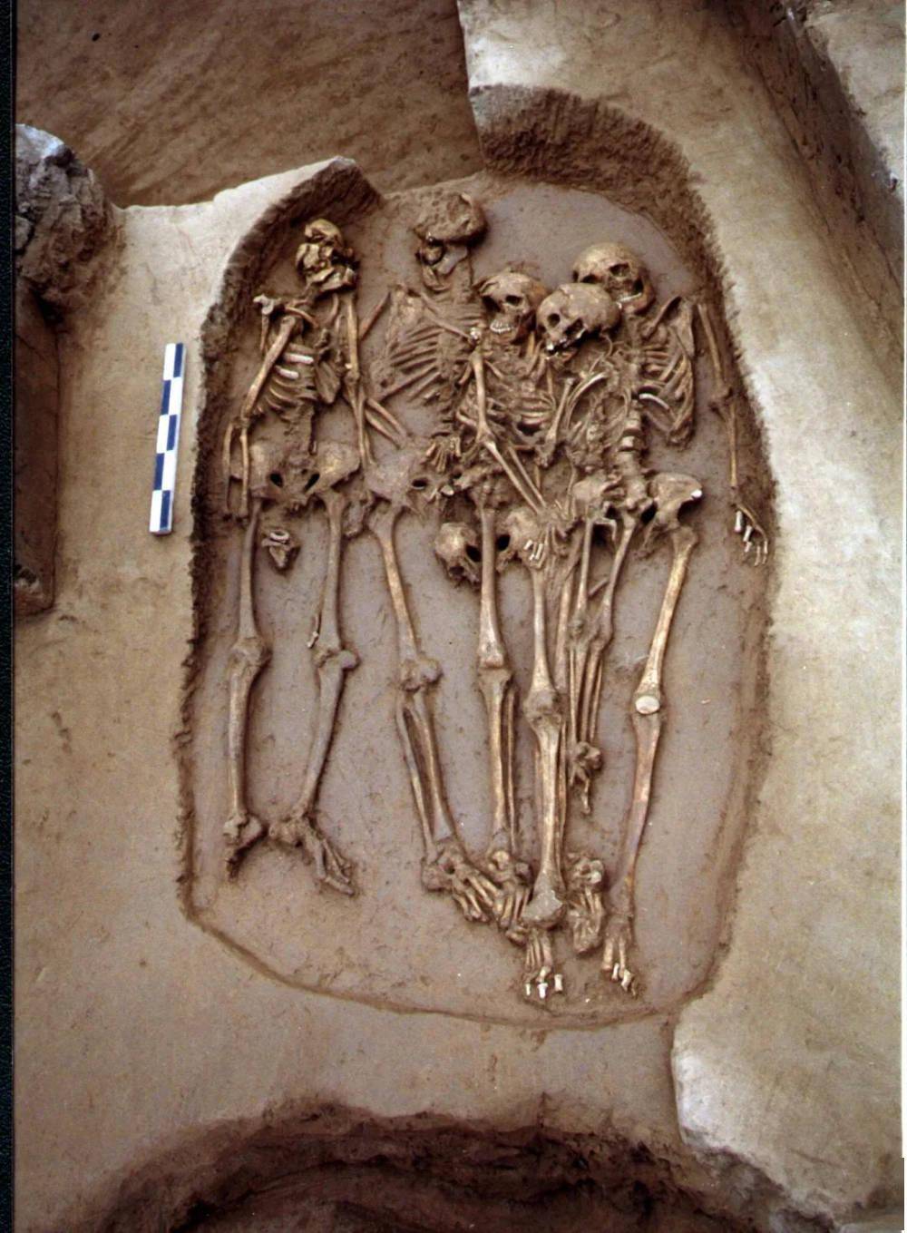 探索巫山大溪遗址屈肢葬是最大谜团