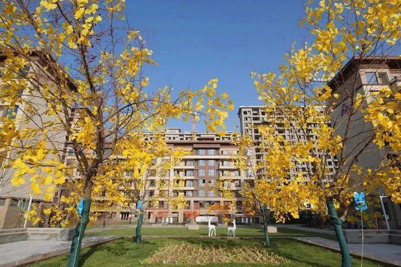 千里之外新疆库尔勒建业61天麓上院交房啦