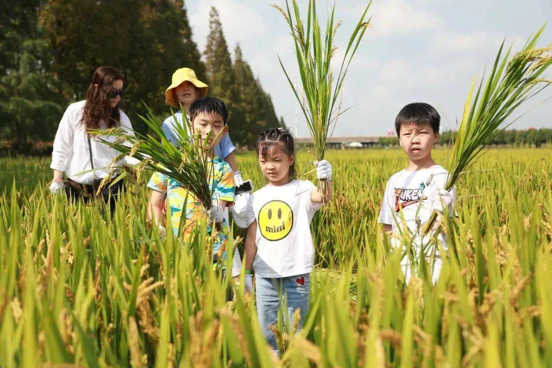 199元=亲子3次农耕活动!