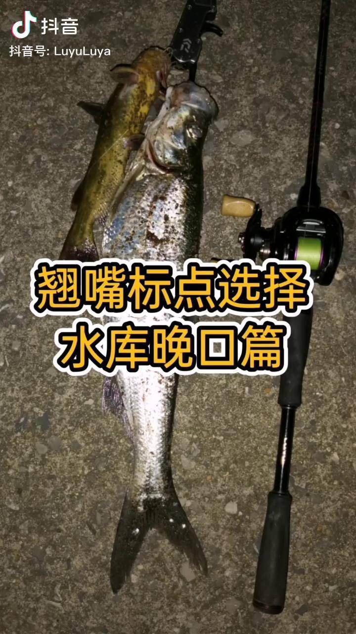 新手路亞路亞教程路亞翹嘴路亞翹嘴標點如何選擇水庫晚口篇