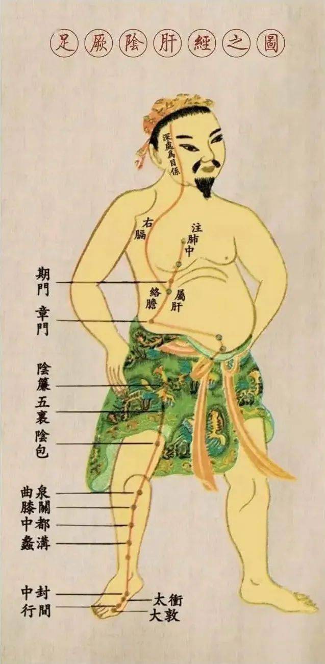 肝胆经的堵塞，会形成大腿内外侧的肥胖。 肝胆是排毒的主要器官，现代社