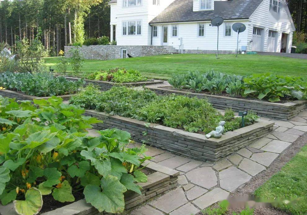 喜欢庭院花园种菜的朋友注意了蔬菜种植时间表太全了必须收藏