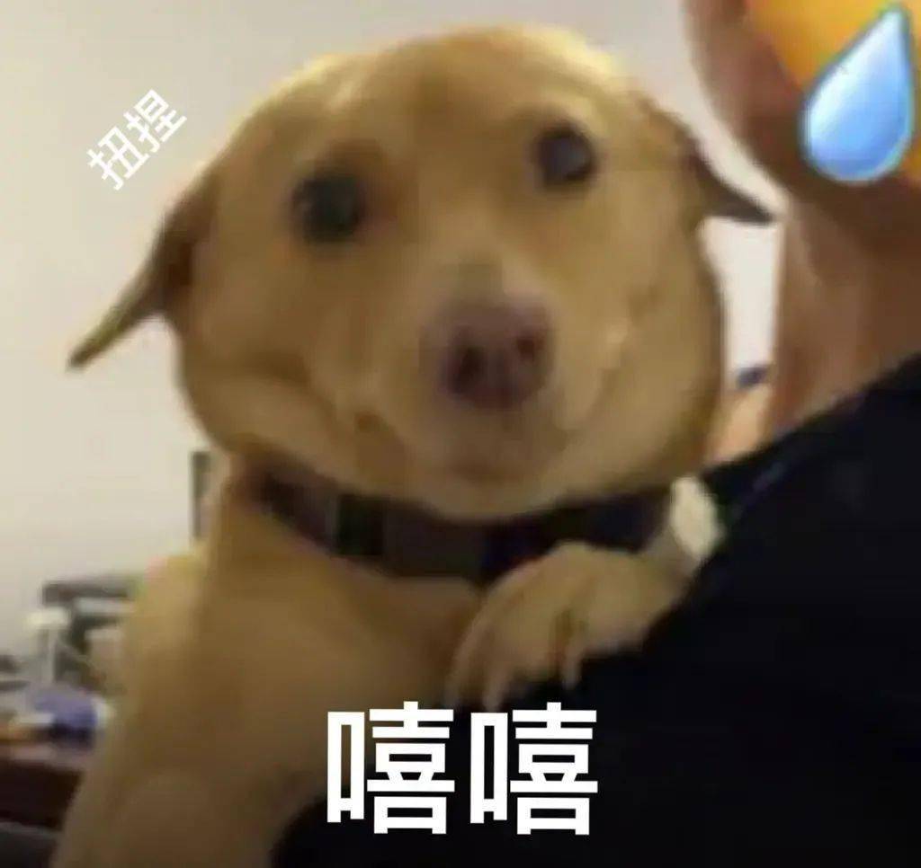 「情侶合照竟然被當場…」看完評論想要談戀愛了！ 搞笑整蠱 第1张