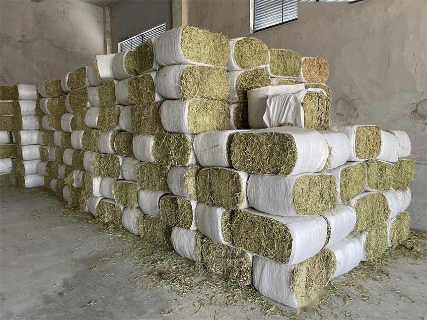 11月3日电 11月3日清晨,一辆载满干草的大挂车驶入武汉动物园草料房