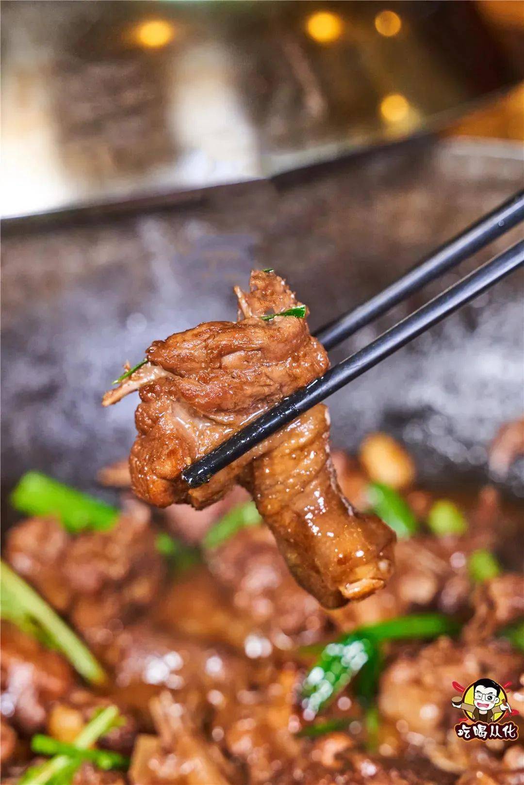 这只脾气"火爆"的顺德火焰醉鹅终于来从化了!