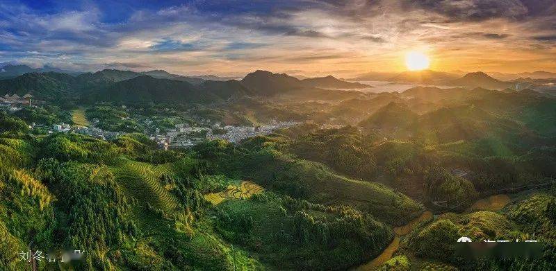 大田举办首届象山岩杯铁观音斗茶赛