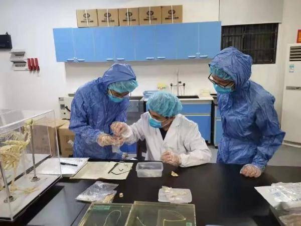 识骨寻踪！这项技术拨开数百年前历史迷雾