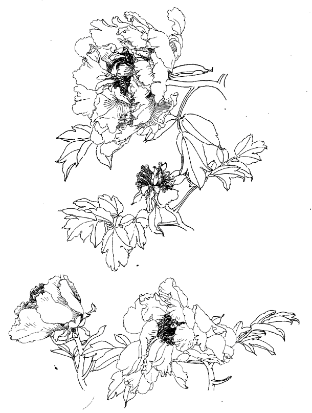 3800幅古代绘画图库,27g历代经典书法套装,工笔画白描底稿教程,高清