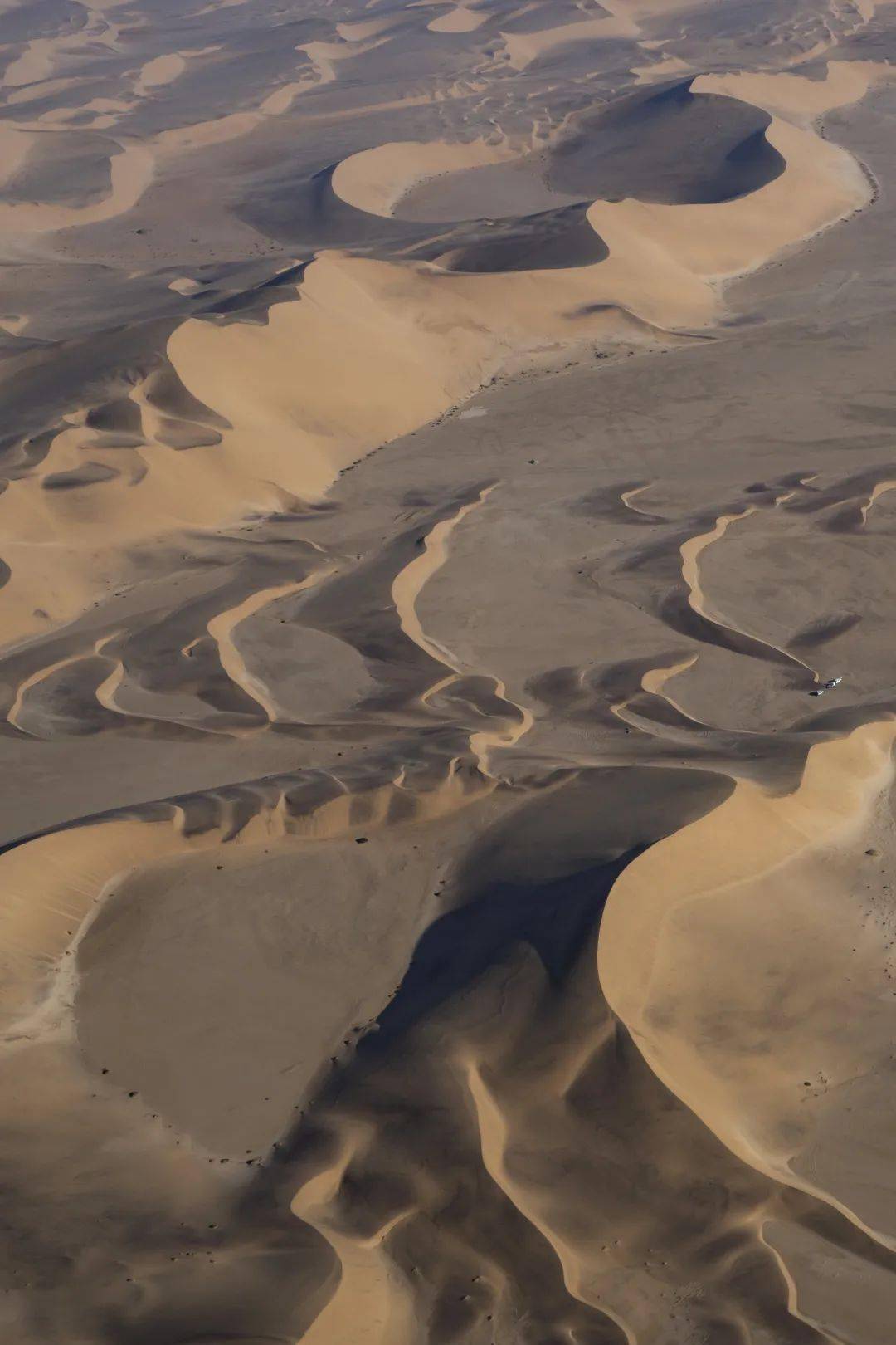 沙漠沙丘-神奇的沙漠风光桌面壁纸预览 | 10wallpaper.com