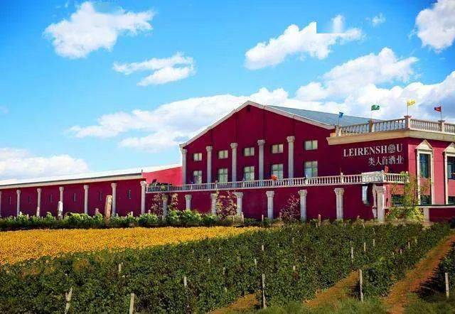 贺兰晴|线上云赏秋——疫情过后，来一场浪漫的酒庄之旅！