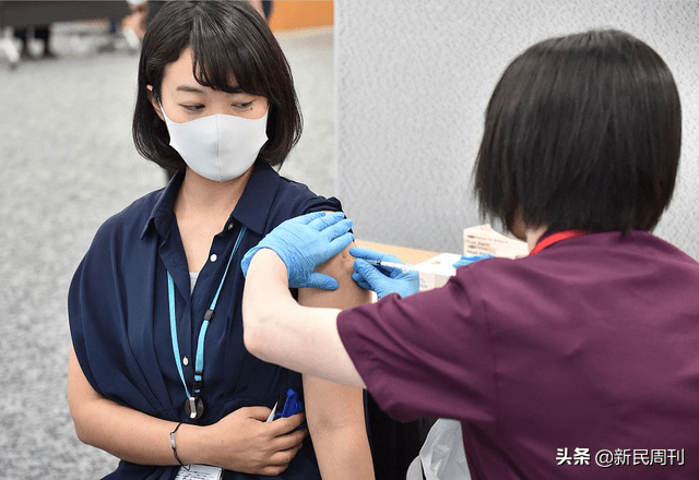 日本新增病例骤减，未必是病毒自我消亡