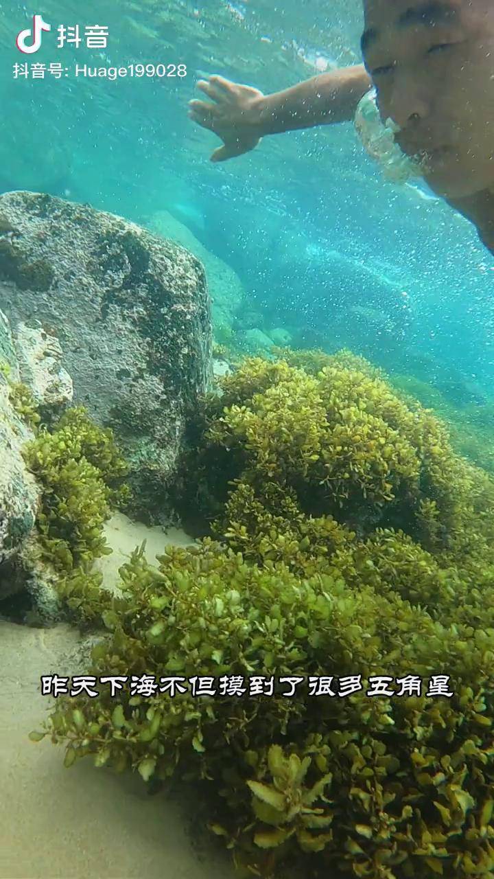 大海與天氣的故事荒島求生荒島生存