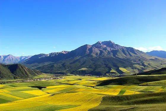 木里填坑复绿记木里矿区及祁连山南麓青海片区生态环境综合整治工作