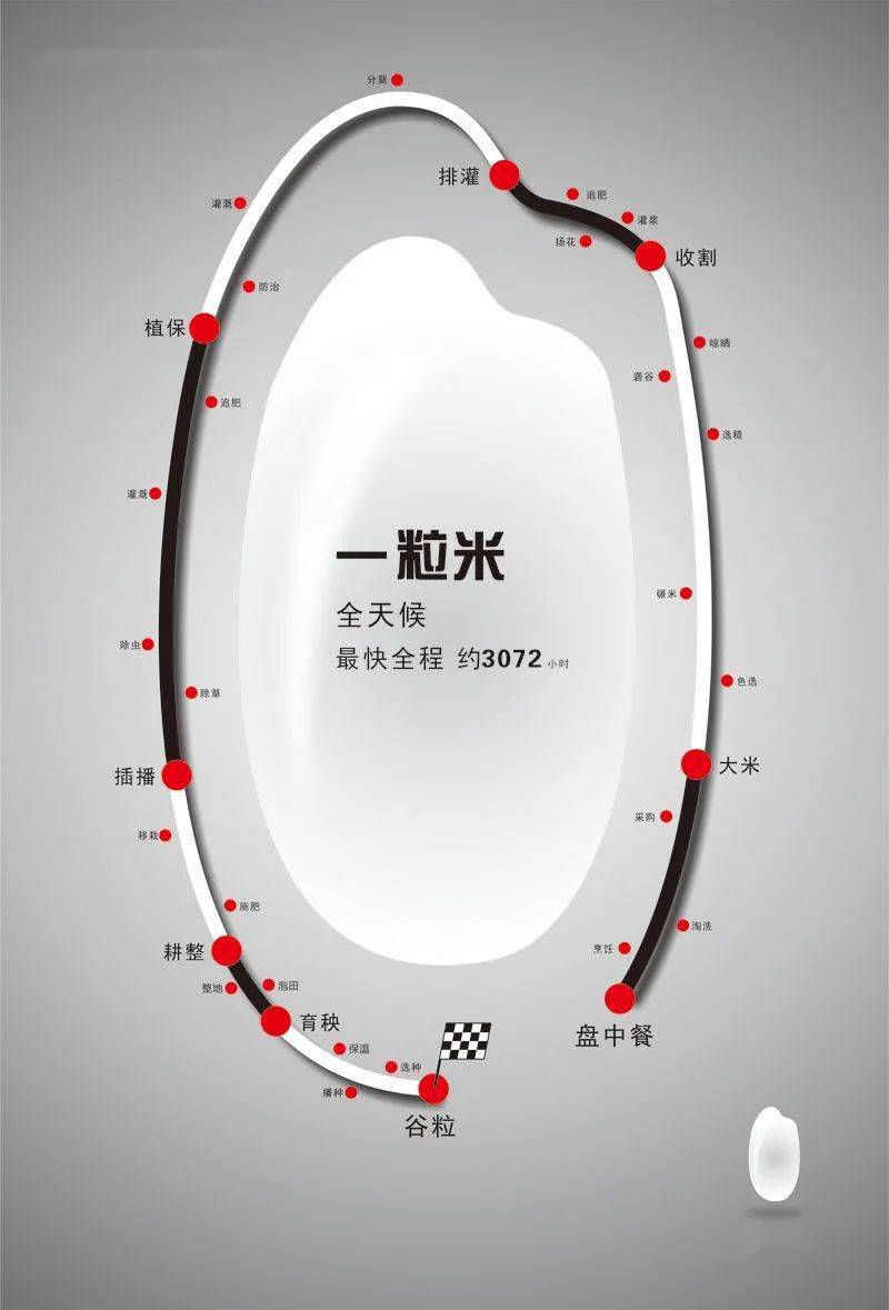 讲文明树新风丨一粒米:全天候 最快全程约3072小时_jdwmw