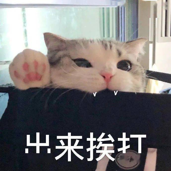 這才是人類社交天花板…淦，真的不怕挨打嗎？！ 搞笑整蠱 第2张
