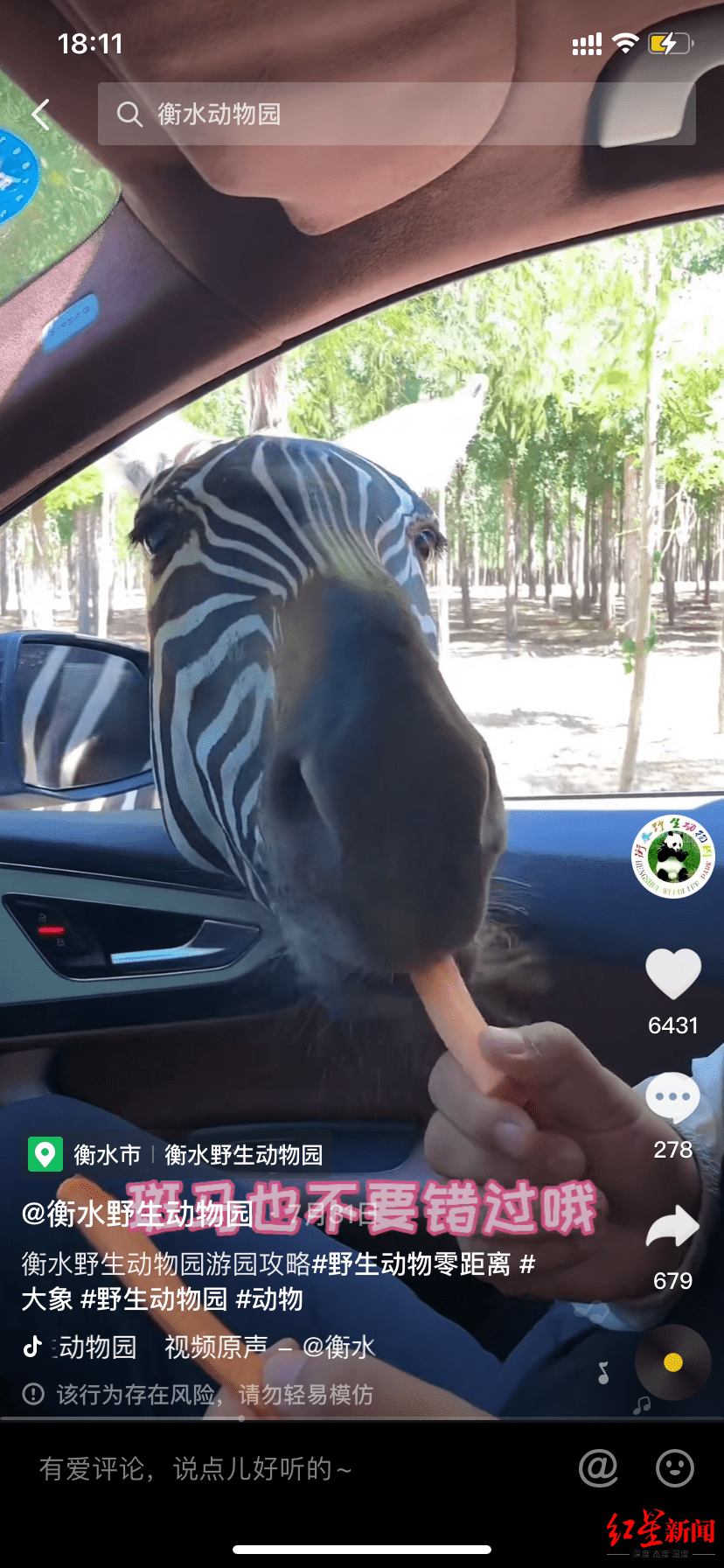 衡水武邑一动物园拍摄猴子抽烟视频引争议 当地县长热线：已责令调查核实