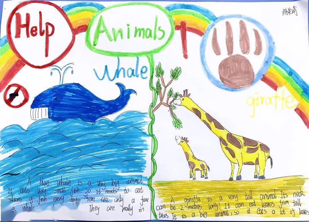 幸福课堂善待动物和谐生存五年级七班英语海报制作活动