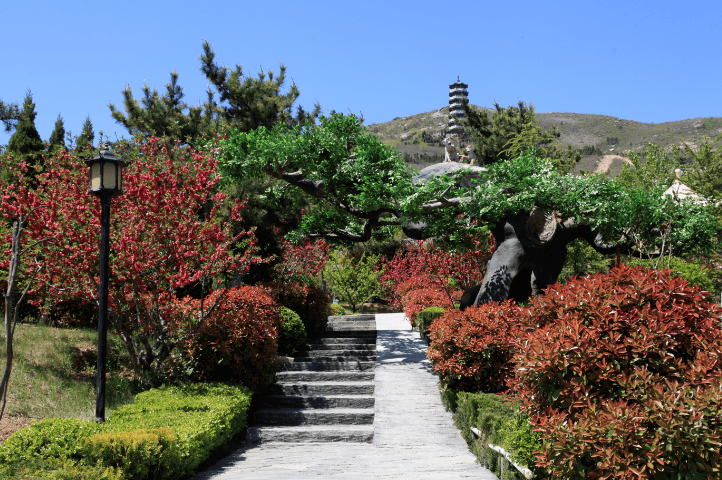 烟台磁山温泉公园图片