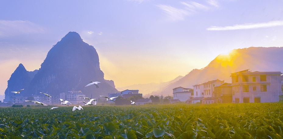 灌阳县洞井瑶族乡绘好三幅图铺出乡村振兴新画卷