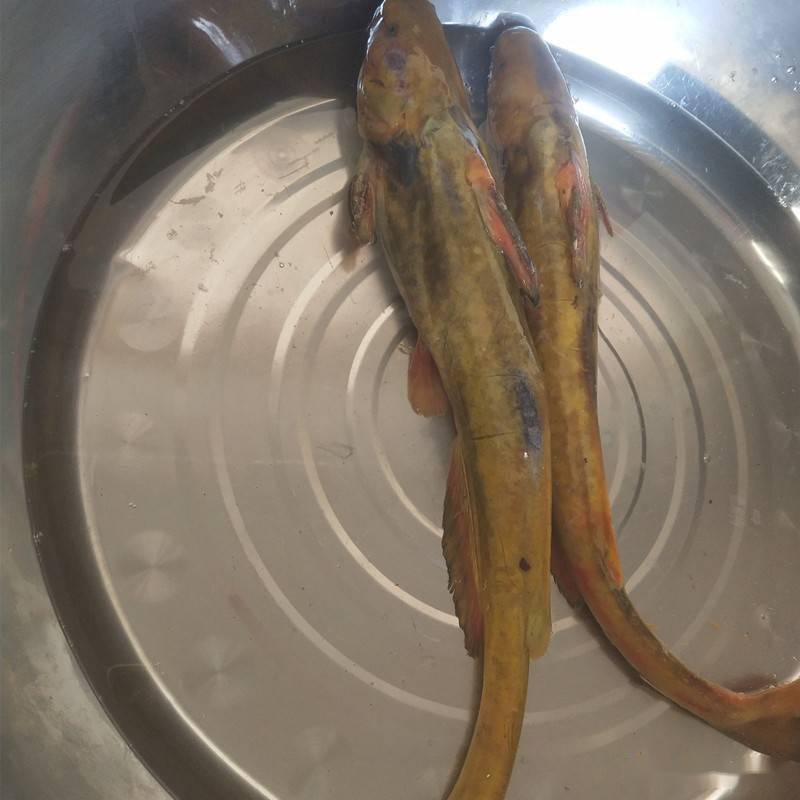 基金项目乌苏里拟鲿池塘养殖技术