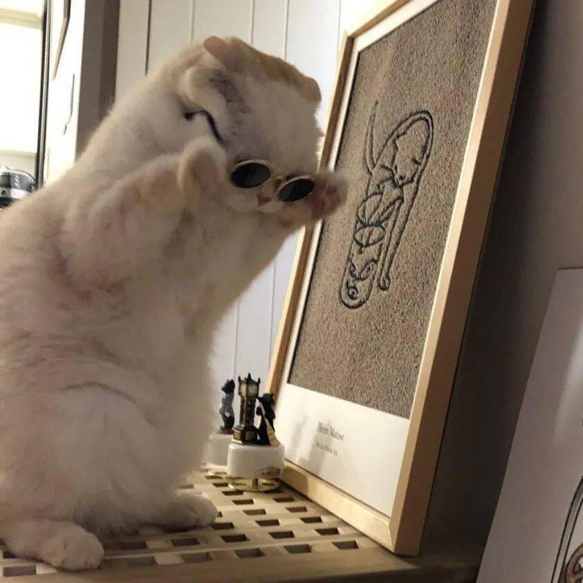 超有趣的搞怪微信头像