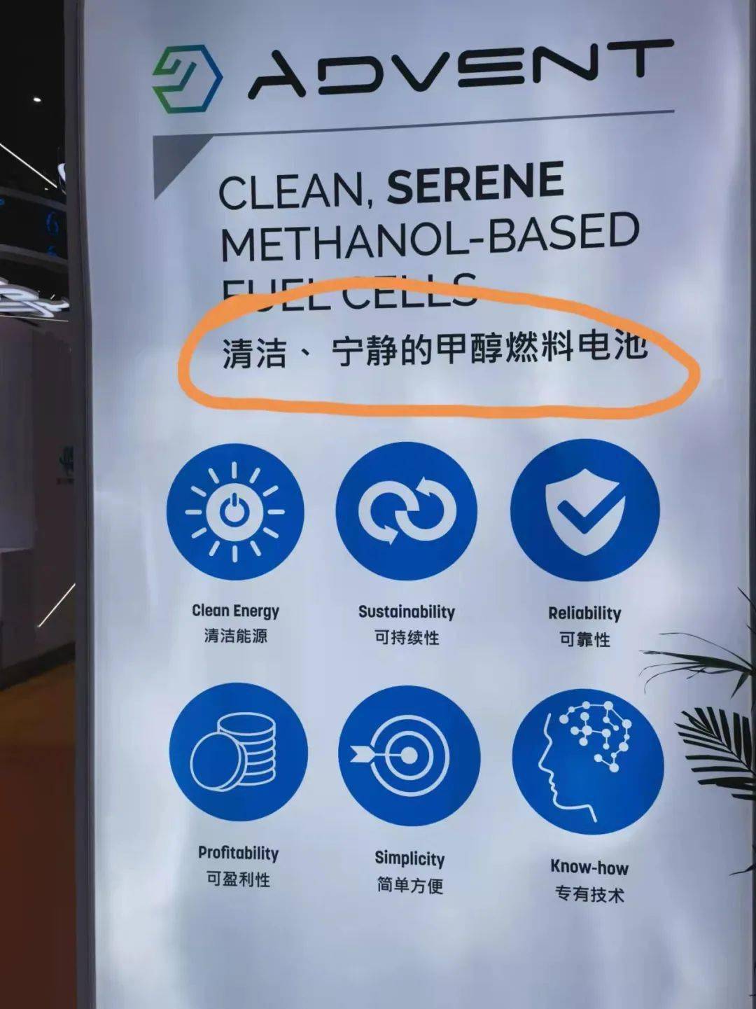 关键词|进博会劲吹＂低碳风＂｜看图说话