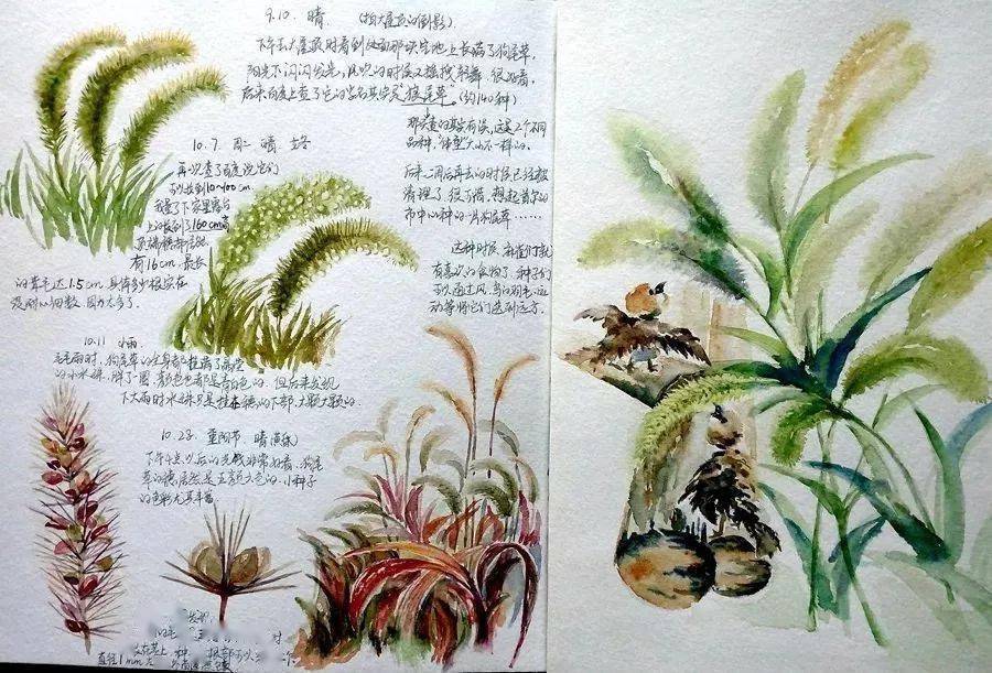 【ef主题研学】探索植物的奥秘,制作植物笔记_大自然