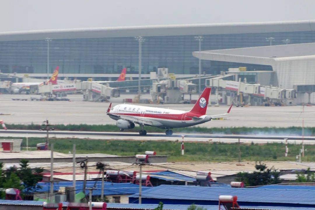 经历|今年的郑州，太难了！