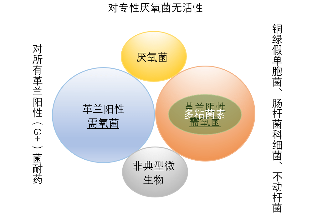 多黏菌素b和多黏菌素e仅具有抗g 菌活性,对g 菌,专性厌氧菌,非典型病