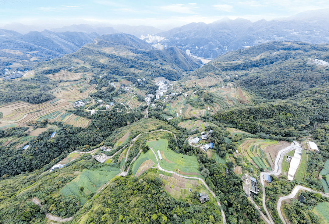 鄖西縣羊尾鎮付家溝村做強紅薯產業促進鄉村振興