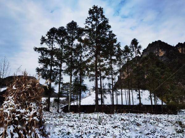 曾家山|今日立冬，四川这些地方下雪了 ！