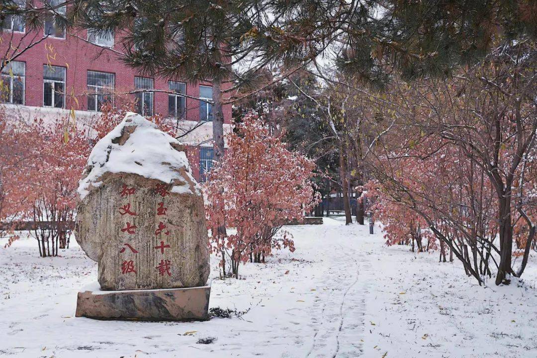 东师的雪与校会君一起赏初雪美景