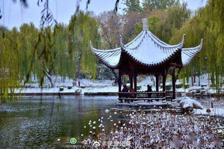 秋色|立冬初雪 北京市属公园美翻天！