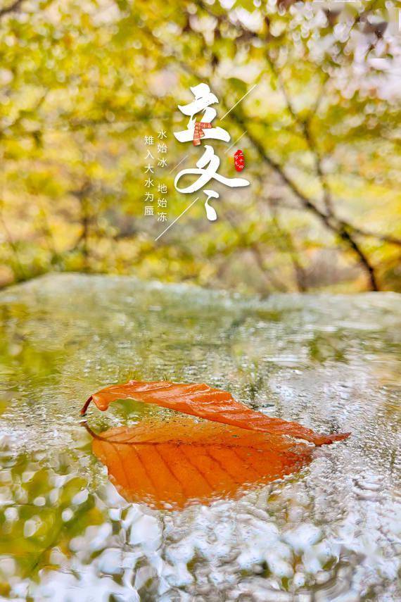 朔风|报节气|朔风雨雪伴冬来