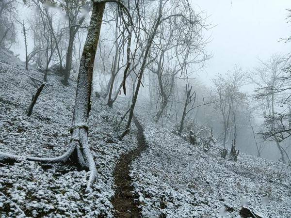 曾家山|今日立冬，四川这些地方下雪了 ！