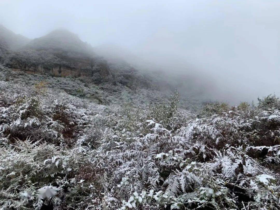 今天昭通这些地方下雪啦