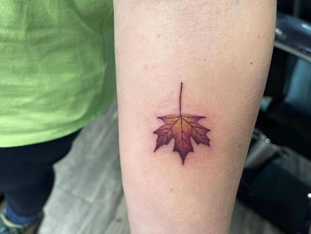 一叶知秋的枫叶纹身_枫树