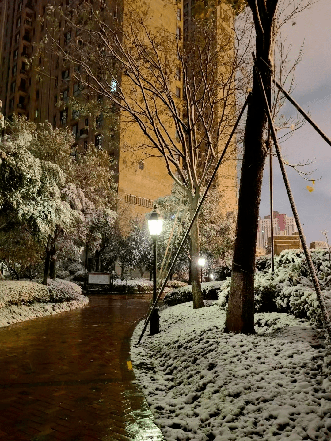 未来几日 最冷天气或将出现在 这么早下雪 意味今冬是冷冬 气象专家回复 西安