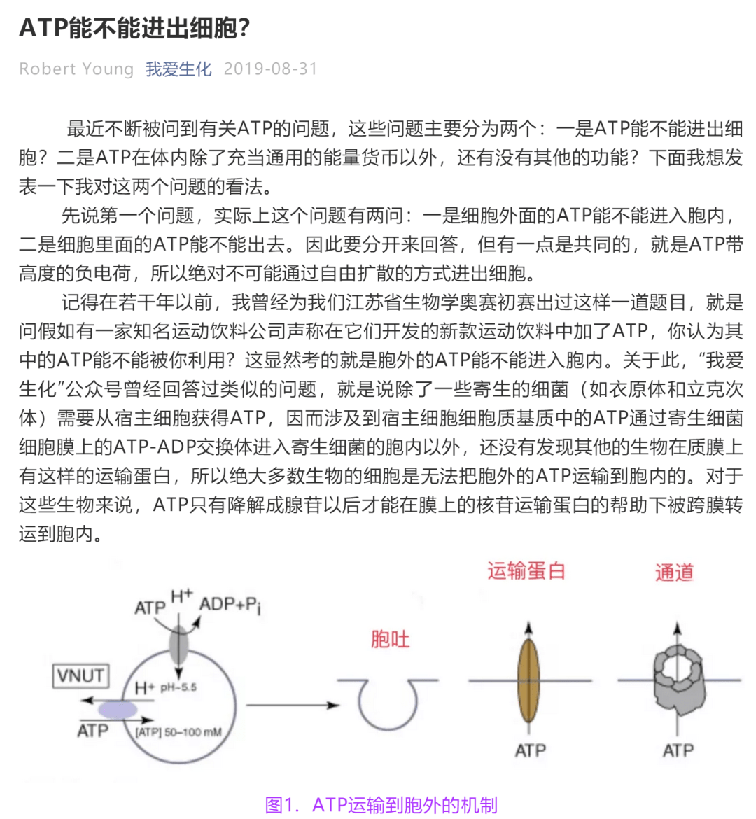ATP作为能源物质的探究或拓展实验,对吗?_细胞