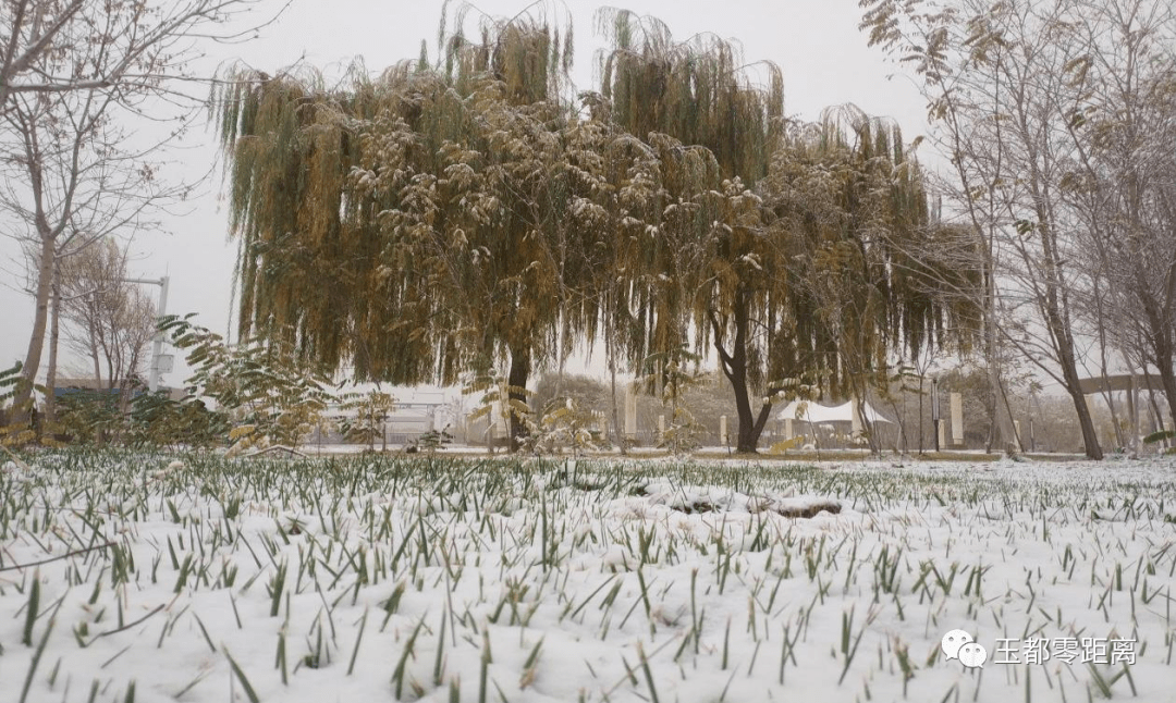 和田市:寒空雪景图